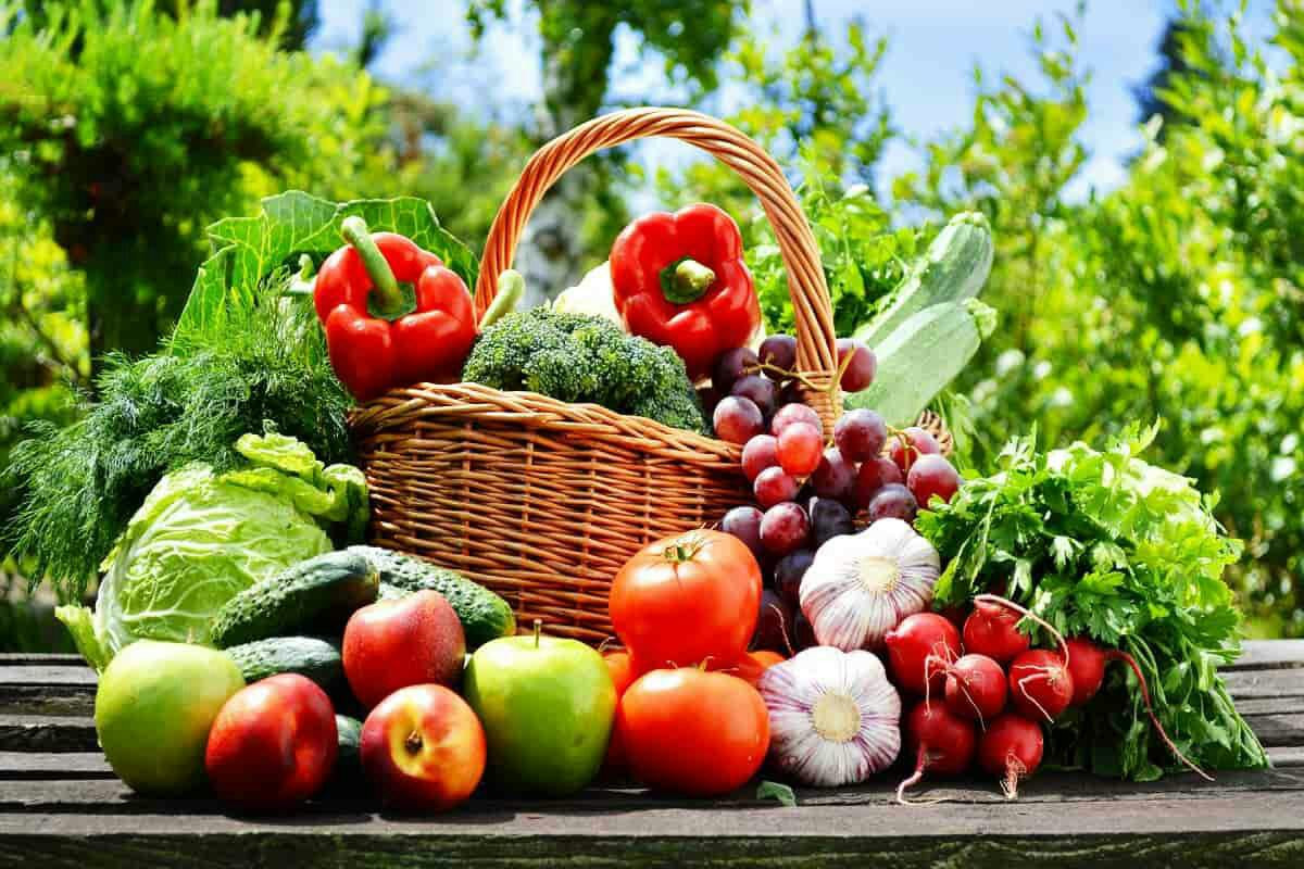 سوريا..ارتفاع أسعار الخضار وال...