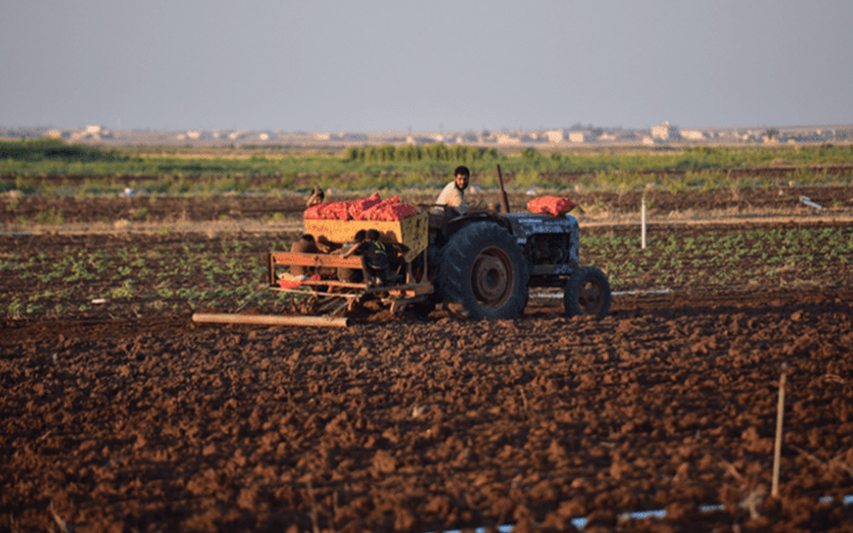 بين التطفيش والتعفيش.. القطاع...