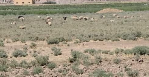 انفجار يودي بحياة طفل في ديرال...