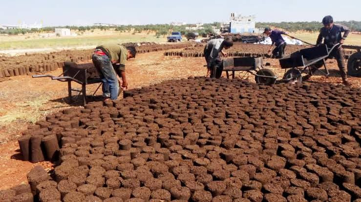 روث الحيوانات بديل التدفئة في...