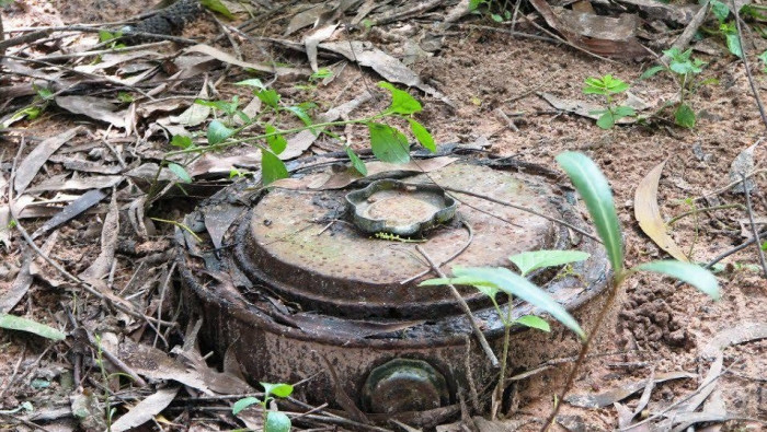 شهيد مدني بانفجار لغم أرضي بري...