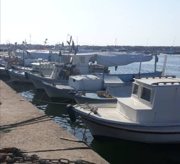 اللاذقية.. أمن النظام يقبض على...