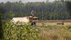 لبنان: اعتقال عصابة اتجار بالب...