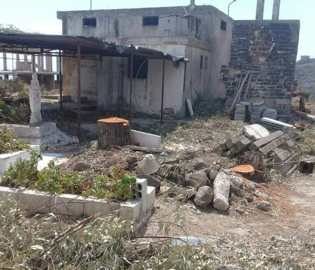 "أوقاف حمص" تتاجر بأشجار إحدى...