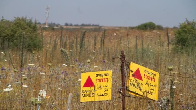 إسرائيل تكتشف أسلحة وذخائر في...