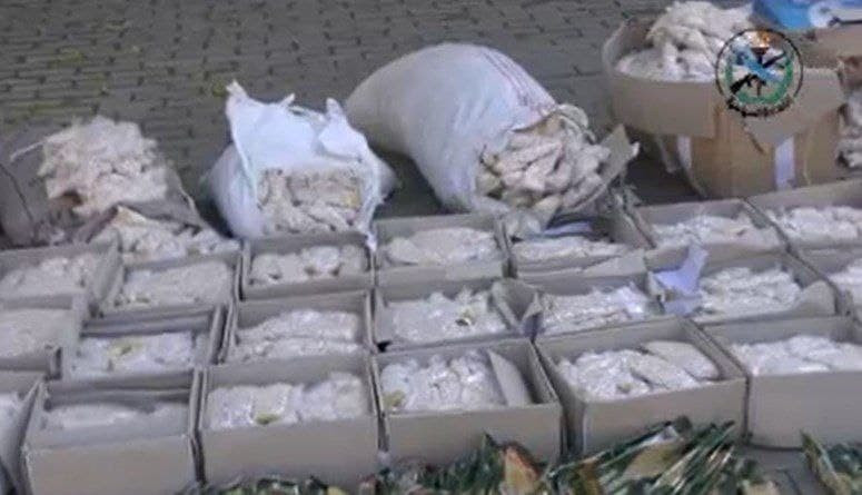 النظام يعلن إحباط تهريب 500 كغ...