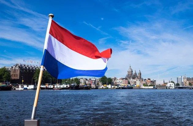 الحظ يحالف قطتين في سوريا (صور...