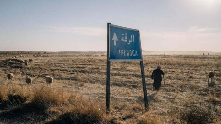 خطـف راعٍ وإبـادة قطيع من الأغ...