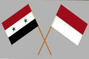 مباحثات بين حكومة النظام وإندو...