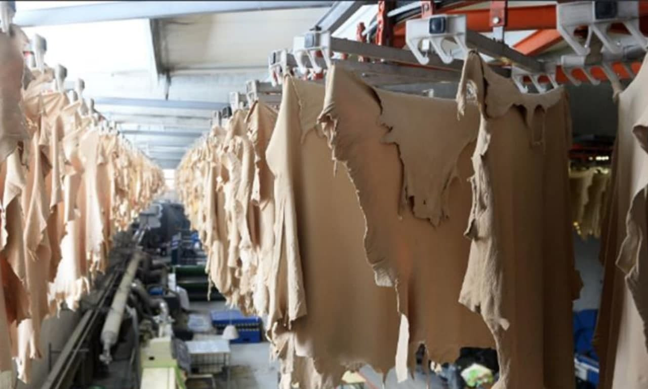 جمعية الدباغة: لدينا تراجع كبي...