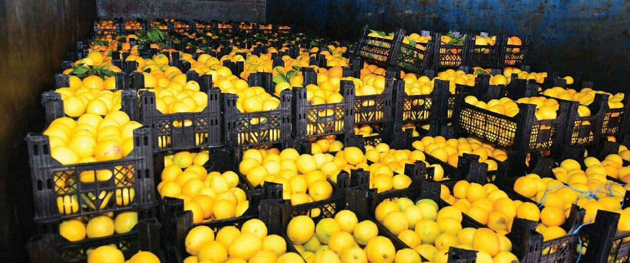 مسؤول يوضح.. تراجع تصدير الحمض...