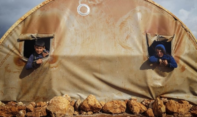 الضباع تهدد النازحين في مخيمات...