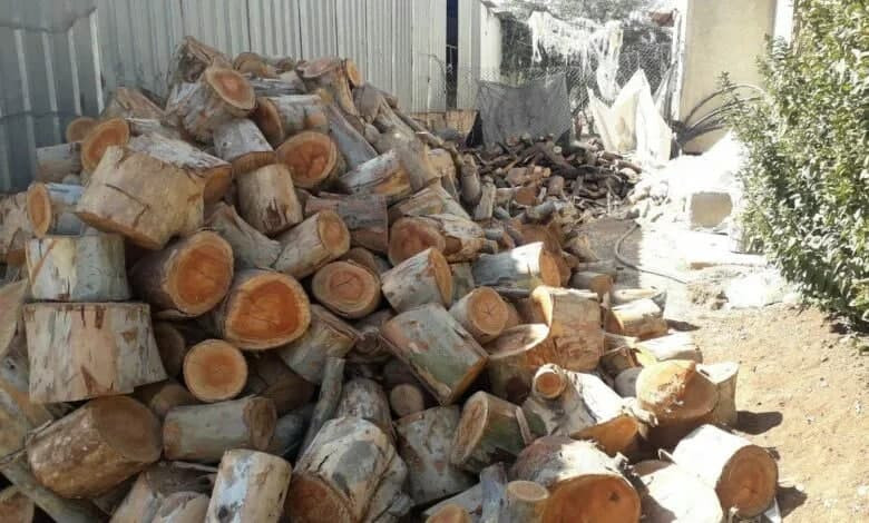 ارتفاع أسعار الحطب في سوريا وا...