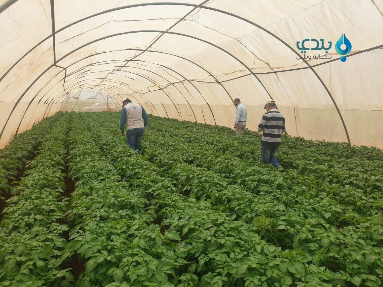 الخارجية القطرية تنشر تسجيلا ل...