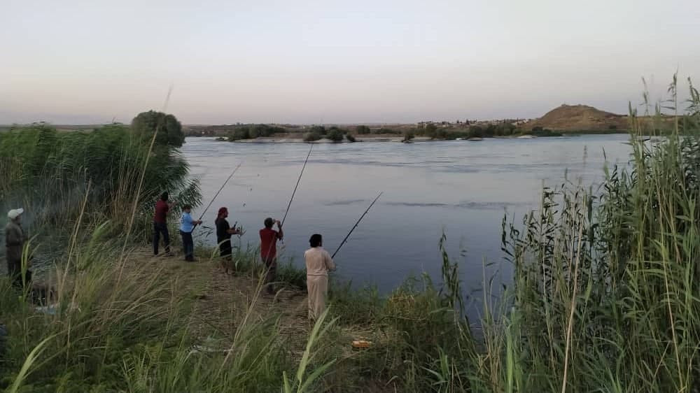 ميليشيات النظام تستولي على أرز...