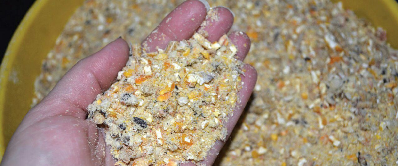 ارتفاع أسعار اﻷعلاف في سوريا و...