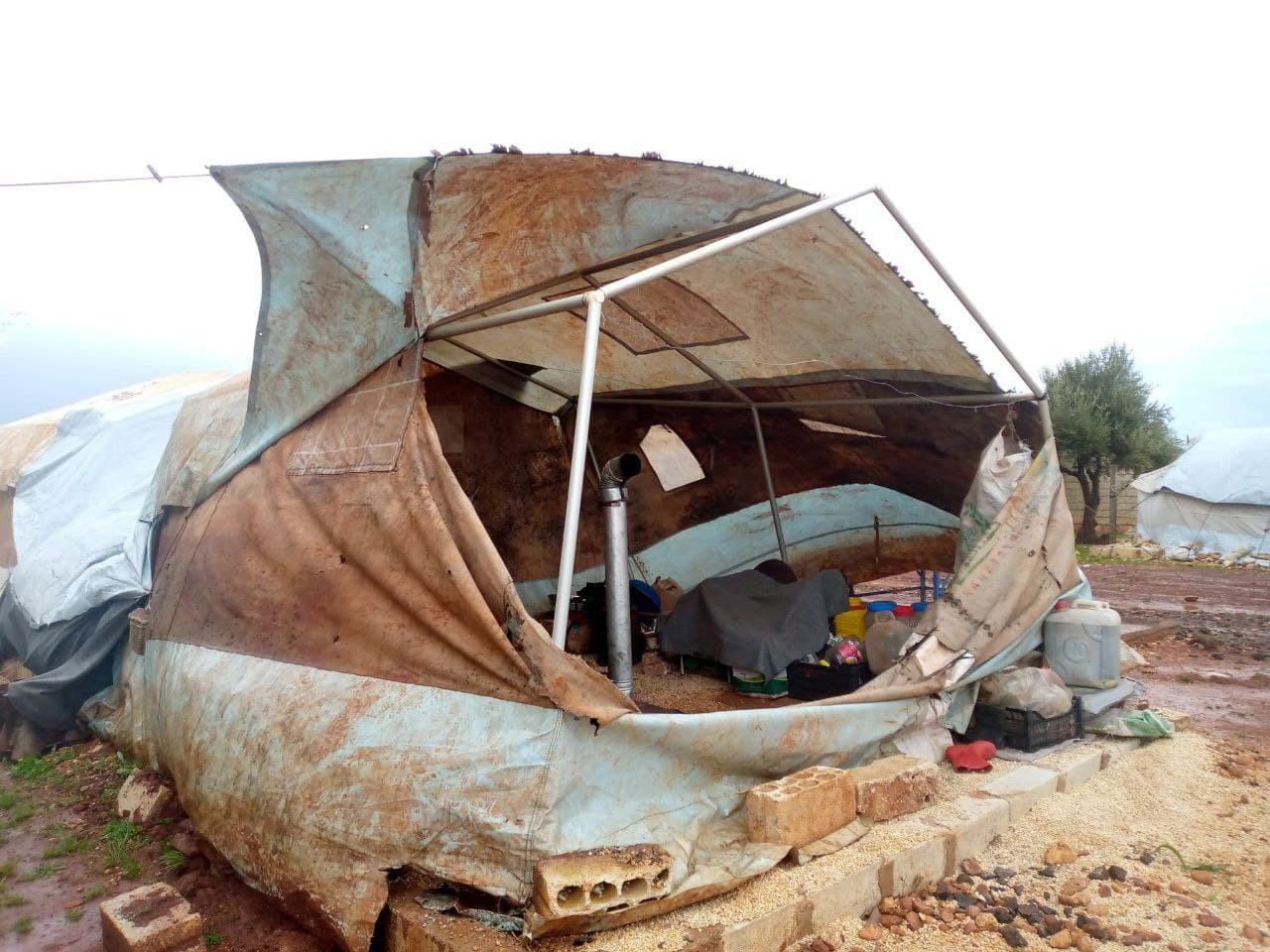 "منسقو الاستجابة" يسجل خسائر ج...