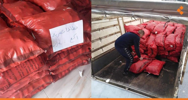 البطاطا المصرية تدخل أسواق حمص