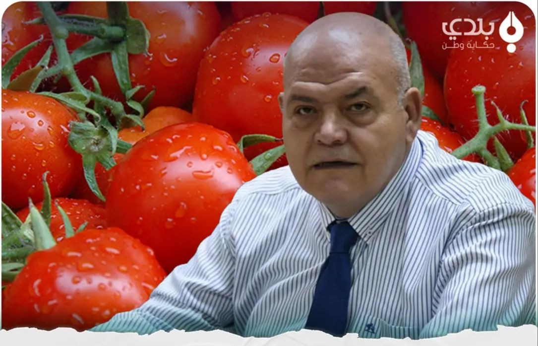 "عمرو سالم" يبرر ارتفاع سعر الحليب ومشتقاته والبندورة