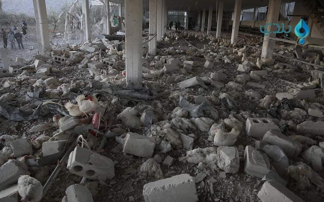 جريح بقصف روسي على مزرعة دواجن...