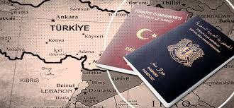 تركيا.. إزالة ملفات الجنسية لع...