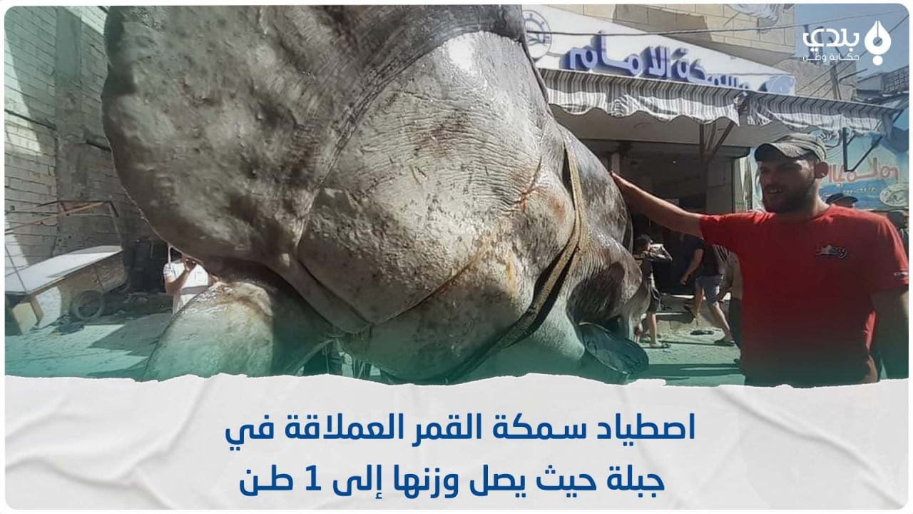 فرض عقوبة على اصطياد الأسماك ا...