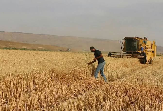 "محافظ حماة" يتجاهل الحرائق وي...