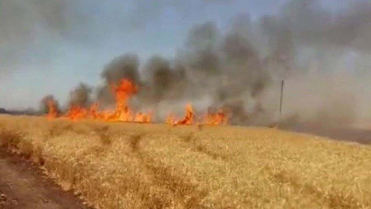 حرائق تلتهم أكثر من 100 دونم زراعي في حماة