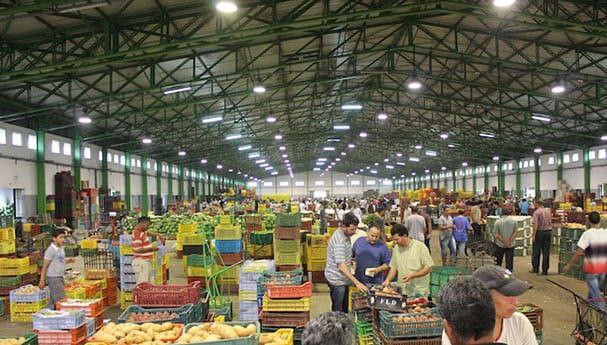 الفاكهة الصيفية تسجل أسعارا قي...