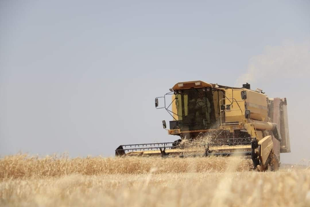 ارتفاع تكاليف الحصاد في مناطق...