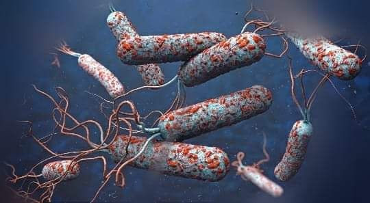 هل ينتقل "الكوليرا" من العراق...