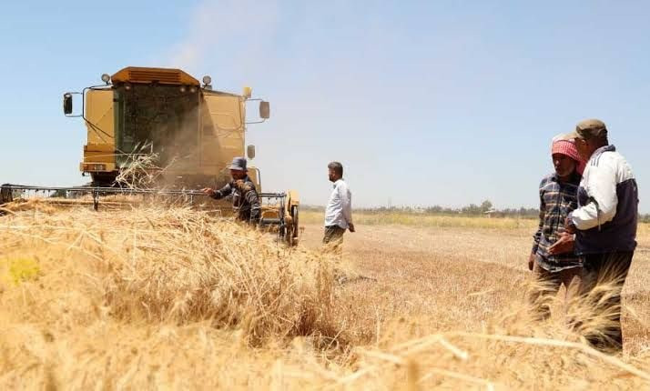 لفرض رسوم عليها.. "مؤسسة الحبو...