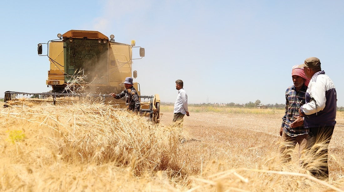 مخاوف من قلة محصول القمح المنت...