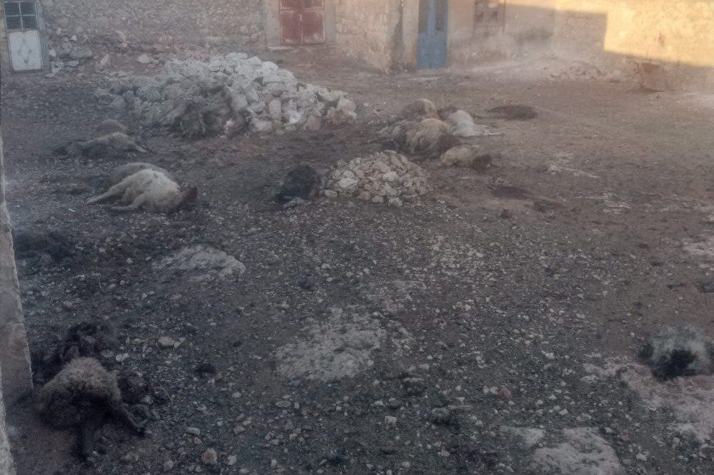 النظام يكثّف قصفه شمال سوريا