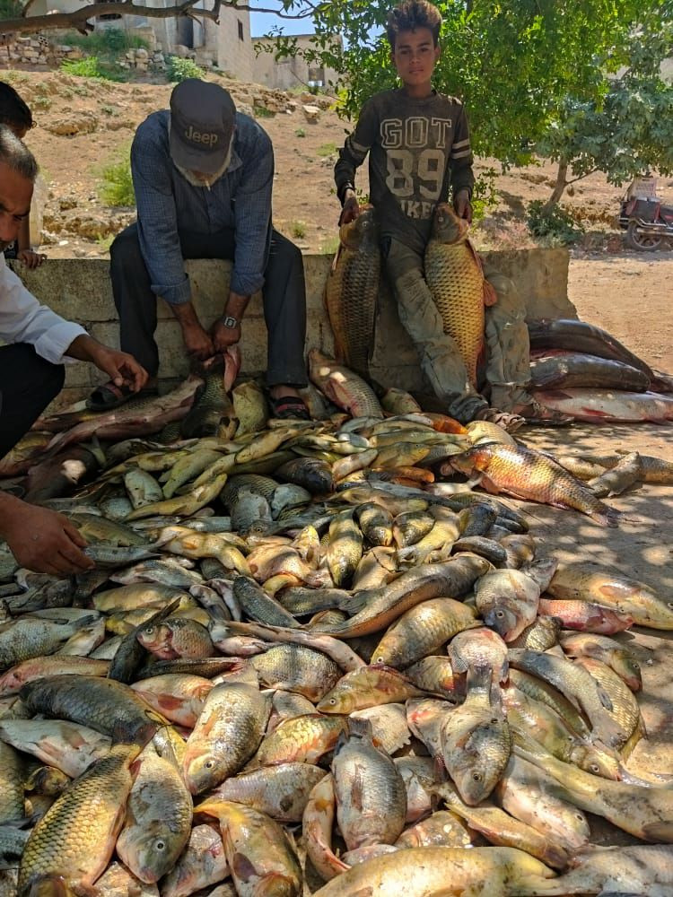 بسبب نفايات معمل السكر بحماة.....