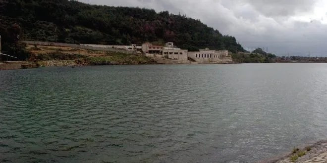 مسؤول بحكومة النظام: لا يوجد ح...