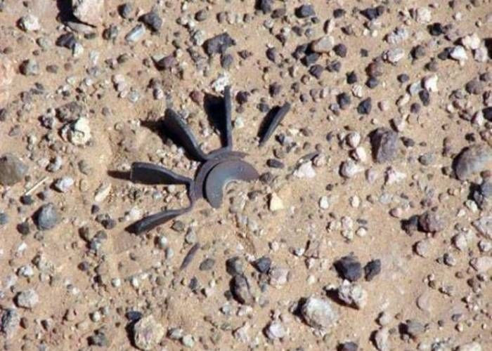 وفاة ثلاثة أطفال بانفجار في حم...