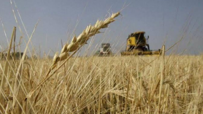 نظام الأسد يطرح مناقصة لشراء ا...