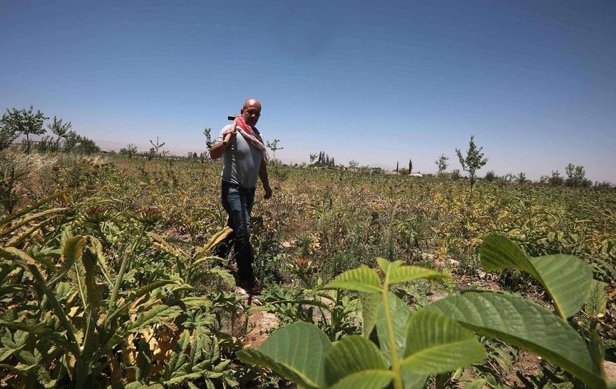 تحذيرات من موجة جفاف تضرب أراض...