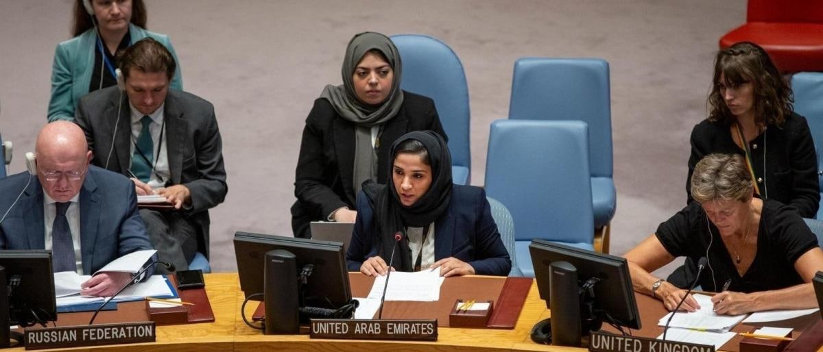 تأكيد إماراتي بمجلس الأمن على...
