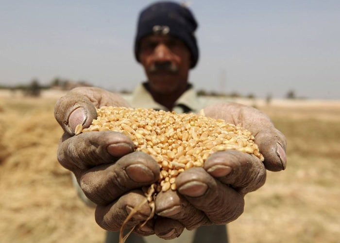 النقد الدولي: 141 مليون بالدول...