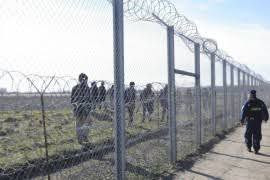 معظمهم سوريون.. رومانيا تضبط 4...