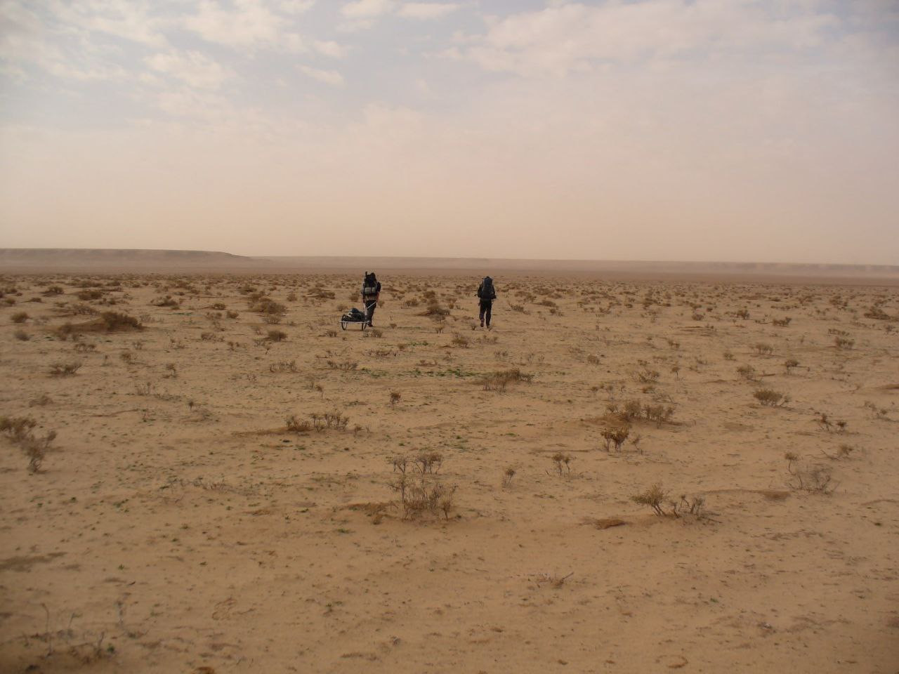 بعد مقتل زعيمه.. التنظيم يظهر...