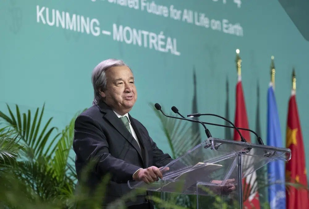 غوتيرش يحذر: إذا لم يجدد تفويض...