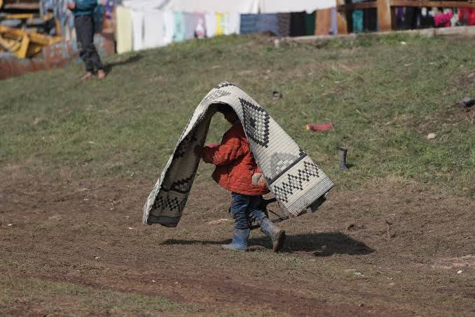 يوم مشمس.. إليك حالة الطقس في...