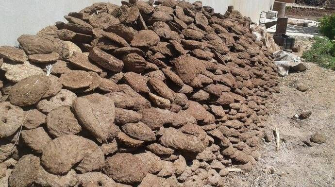 "روث البقر" آخر خيارات السوريين للتدفئة في مناطق النظام