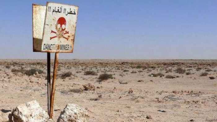 إحصائية تكشف عن عشرات الضحايا...