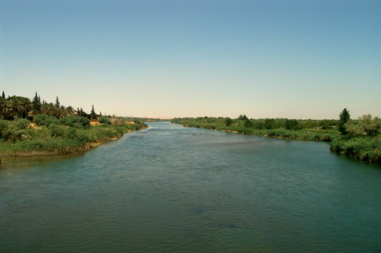 طفل يلقى حتـ.ـفه بنيران قوات "...