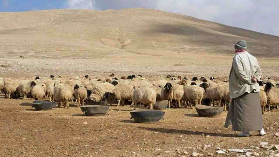 "الإدارة الذاتية" تمدد قرار من...