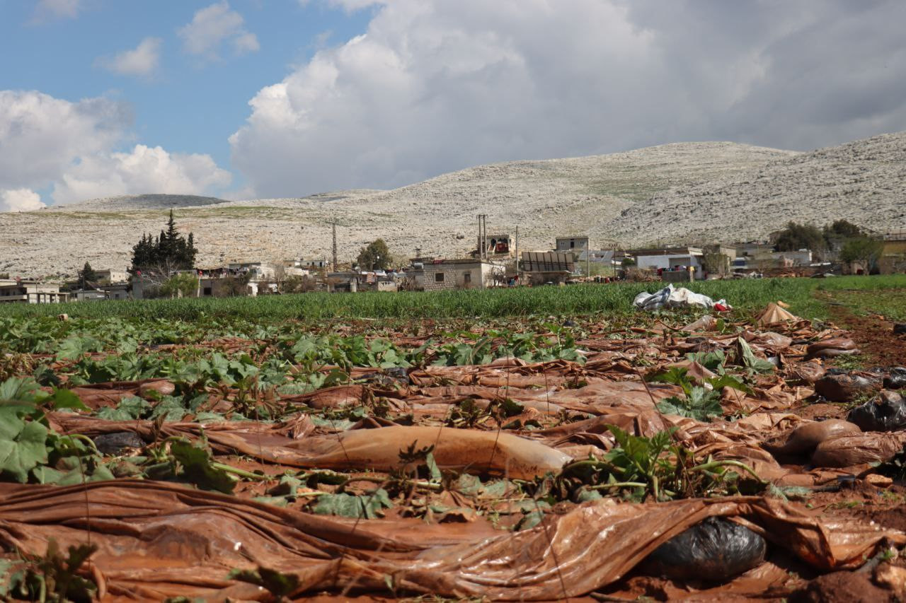 تضرر ما يزيد عن 100 دنم من الأ...